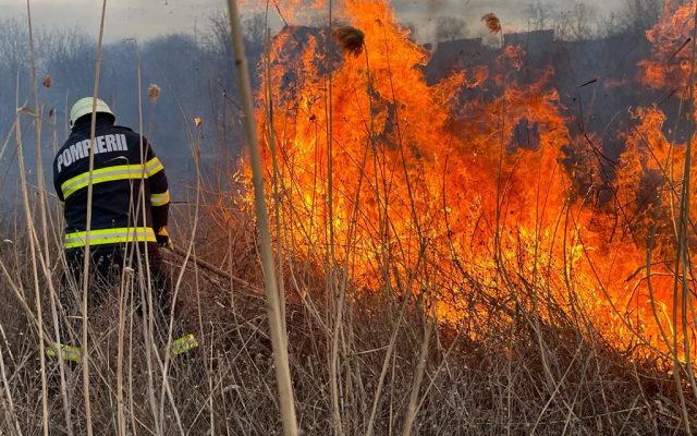 Vegetația uscată de pe insula Mangalia a luat foc. Doi adulți și trei copii au fost evacuați