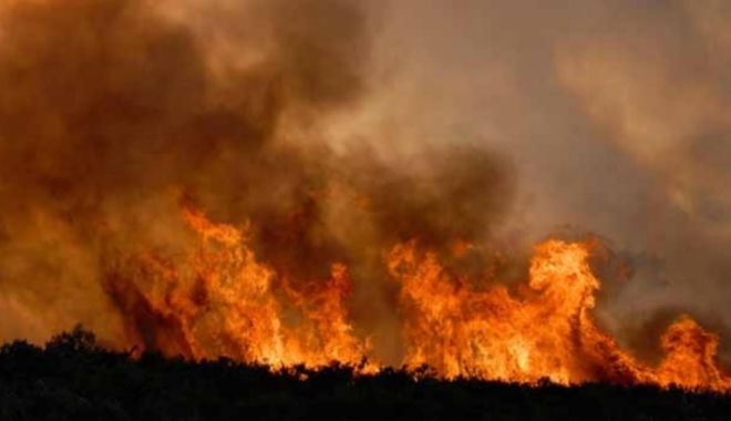 Tulcea, în flăcări! Circa 45 de hectare cu stuf, incendiate în mai puţin de 24 de ore - incendiupozabunapentruvegetatie5-1645251893.jpg