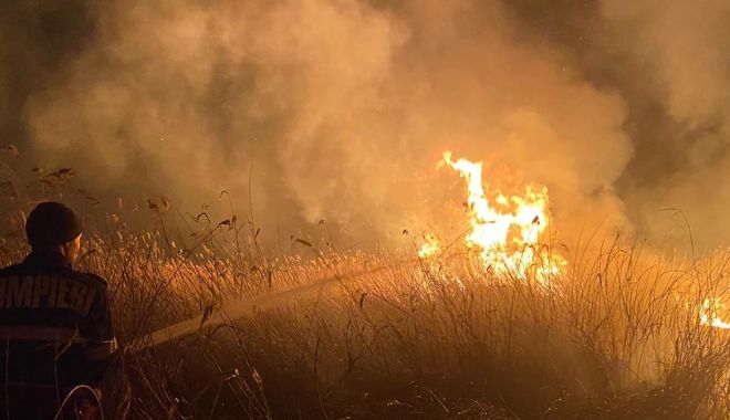 Incendiu uriaș la Grindul Lupilor. Au ars 300 de hectare de stuf și vegetație - incendiuurias-1584518336.jpg