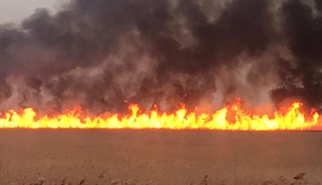 Tulcea: Aproape 10 hectare de vegetație uscată au ars la Băltenii de Sus - incendiuvegetatie-1637513711.jpg