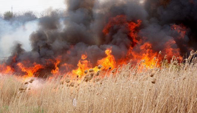 76 de pompieri, în alertă să apere casele oamenilor, după ce opt incendii au mistuit zeci de hectare de vegetație - incendiuvegetatie-1645340472.jpg