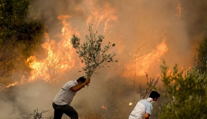 Un incendiu de vegetaţie din sud-vestul Turciei, alimentat de vânt şi temperaturile ridicate - incendiuvegetatie-1656250776.jpg