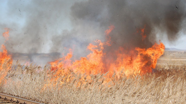 Incendiu în apropiere de Hârșova - incendiuvegetatie03067400-1332588492.jpg