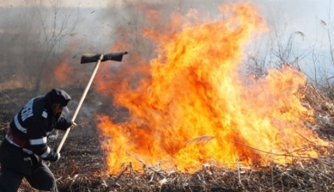 Incendiul de la complexul Razim – Sinoe / Ce spun pompierii - incendiuvegetatie1b-1315595237.jpg