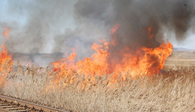 Incendiu la intrare în Palazu Mare - incendiuvegetatie3-1332918352.jpg