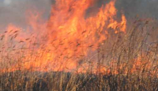 Incendiu de vegetație uscată în zona portului Constanța - incendiuvegetatie59-1331986303.jpg