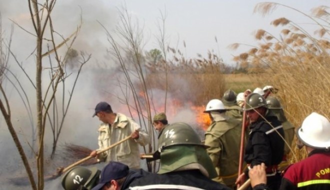 Incendiul de la complexul Razim – Sinoe / Pompierii au primit întăriri - incendiuvegetatieuscatab-1315592400.jpg