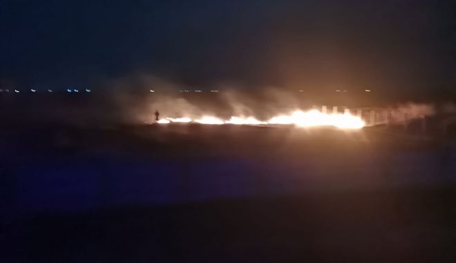 Trei incendii de vegetaţie, în doar două zile! - incendiuvegetatieuscataslobozia-1650274397.jpg