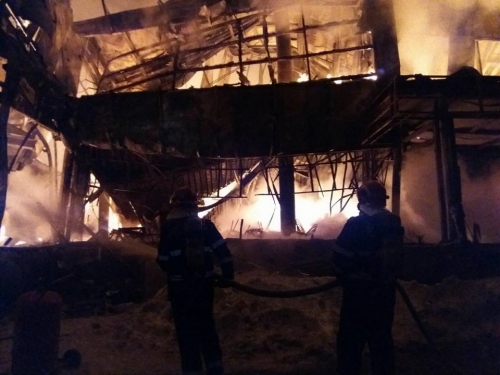 Vedetă scăpată din infernul de la Bamboo: 