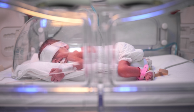 Câți vor face la fel? Bătrânul care a cumpărat două incubatoare adună bani pentru al treilea - incubatorcopii-1472710655.jpg