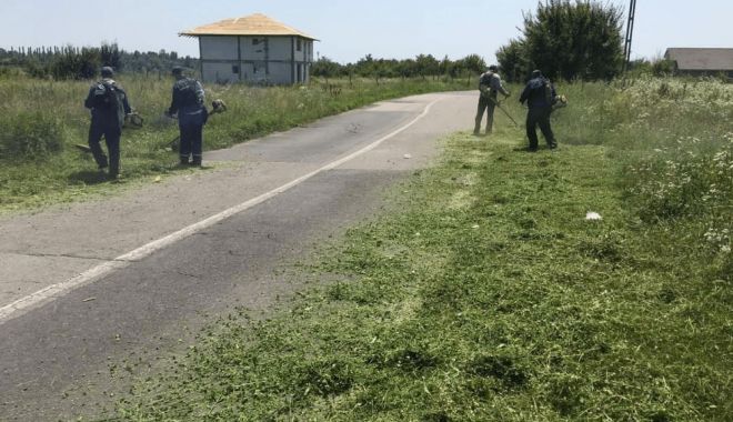 Legea ambroziei, modificată! Care sunt noutățile pentru proprietarii de terenuri și autoritățile locale