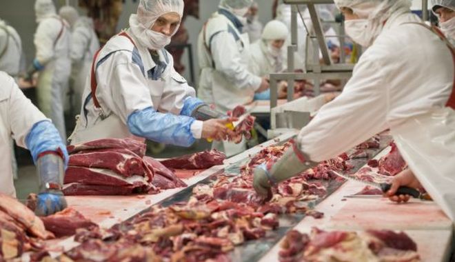 Românii care muncesc în industria cărnii în Germania vor semna contracte de muncă direct cu angajatorii germani - industriacarnica-1597337592.jpg