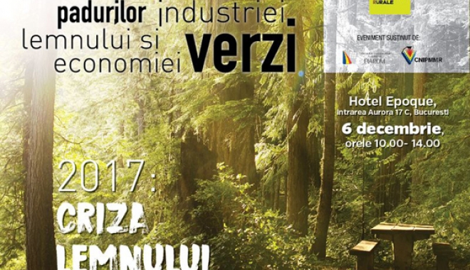 Industria lemnului e în pragul falimentului - industrialemnului-1511878668.jpg