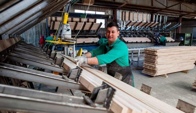 Industria de prelucrare a lemnului, afectată de explozia preţurilor la materia primă - industriaprelucratoarealemnului-1622481613.jpg