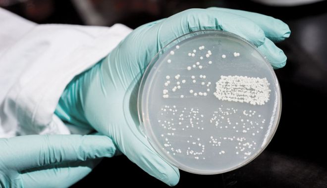 Bacterie ucigașă la Institutul Marius Nasta: Doi pacienți au murit - infectiinosocomialefotoviatamedi-1550227042.jpg