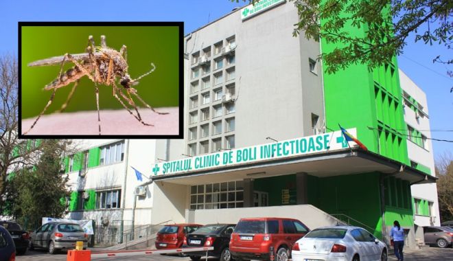 ALERTĂ LA CONSTANȚA! TÂNȚARII UCIGAȘI FAC NOI VICTIME! - infectioase21484929663-1535542481.jpg