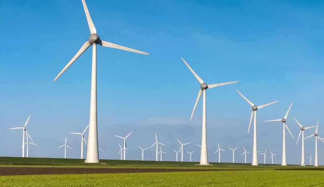Silvicultură, energie, investiții. INFO economic - info-1773752717.webp