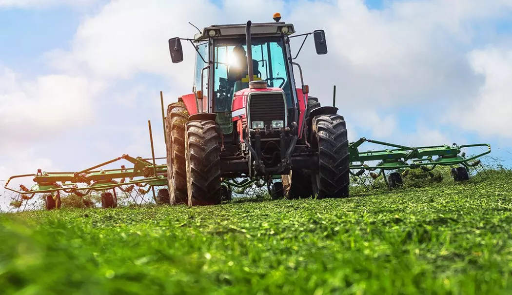Bursă, agricultură, producție de energie. INFO economic - info-1776696786.webp
