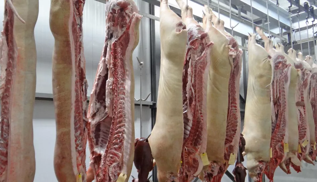 Asigurări, producție de carne, finanțări. INFO economic - info-1784039900.webp