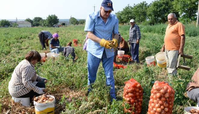 Info agricultură: modul de implementare a schemelor de plăți - infoagricultura-1464793461.jpg