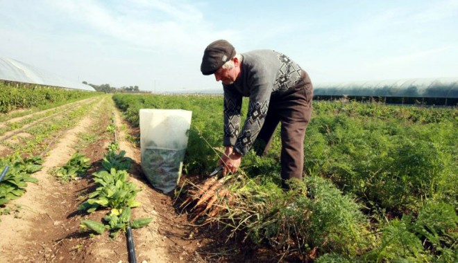 Info fiscalitate: Normele de venit pentru agricultorii constănțeni - infofiscalitate-1394473357.jpg