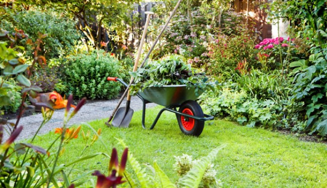 Cum îngrijim plantele vara - ingrijireplante-1372936082.jpg
