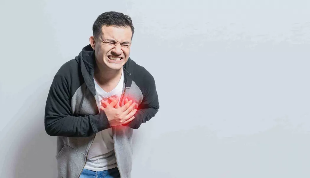Factori care influențează sănătatea cardiovasculară - inima-1778157281.webp