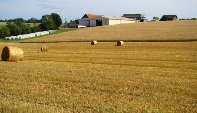 În iunie va fi lansat un program de investiţii în agricultură - iniunievafilansat-1621270789.jpg