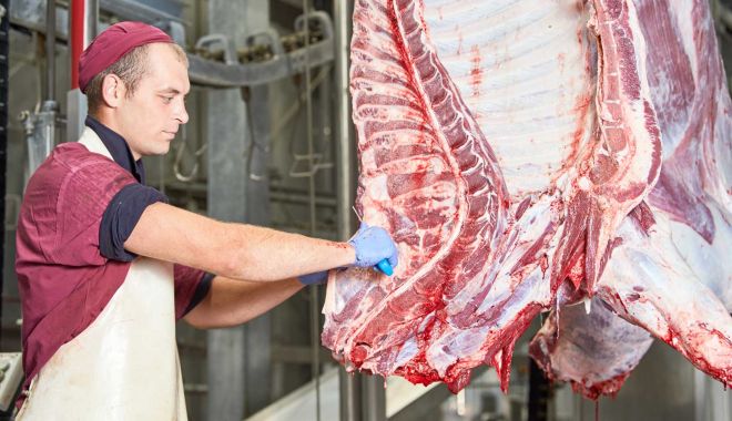 Mai puţine animale sacrificate în luna iulie - inlunaiulie-1631456789.jpg