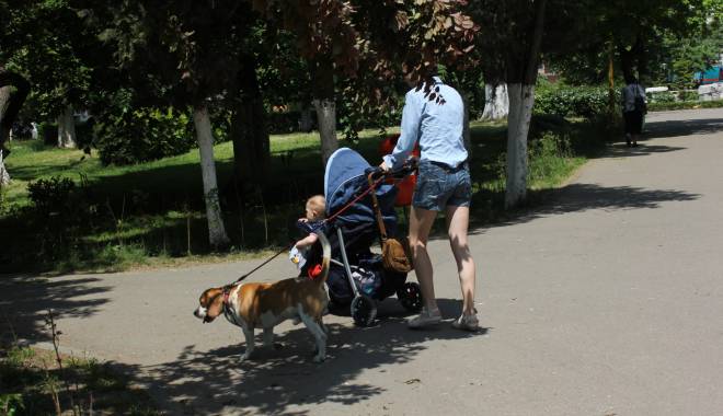 În ce instituții mai au românii încredere - inscopsondaj-1432292503.jpg