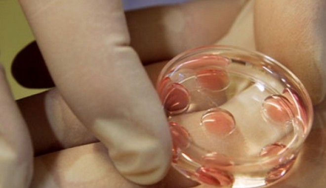 Inseminarea artificială cu ovule donate, aprobată de Guvern - inseminareartificiala-1317325909.jpg