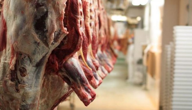 Ce s-a întâmplat cu animalele sacrificate în luna august - insnumaruldeanimalesacrificateas-1412754067.jpg