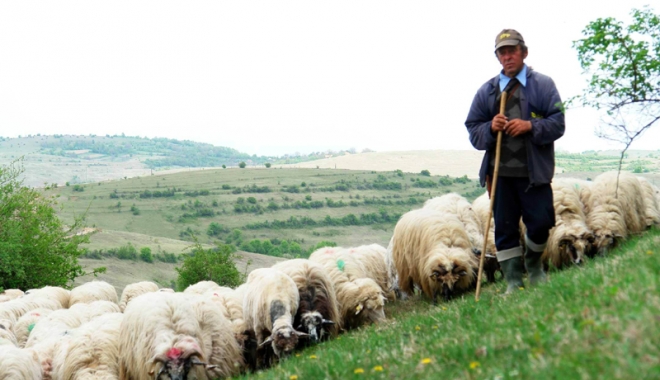 Inspectorii Fiscului dau lecții crescătorilor de animale - inspectoriifiscujlui-1466521944.jpg