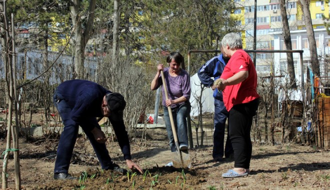 A început curățenia de primăvară - instantaneulxilei-1332177163.jpg