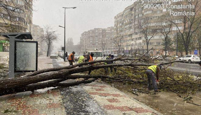 GALERIE FOTO Oficial Primăria Constanța: Efectele dezastruoase lăsate în urmă de vântul puternic