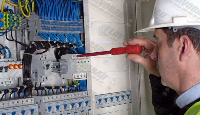 Întreprinderile au cumpărat mai multe servicii în 2019 - intreprinderileaucumparatmaimult-1581944657.jpg