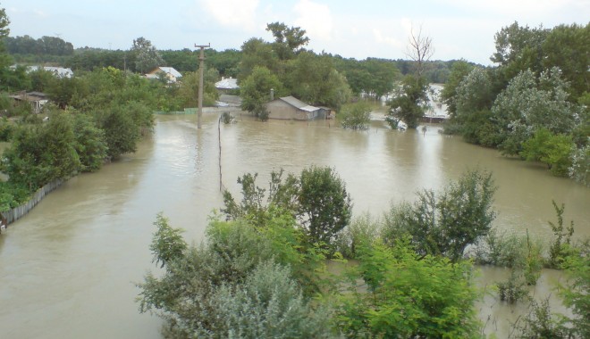 COD PORTOCALIU pe Dunăre / Sute de hectare de terenuri agricole, păduri și pășuni, inundate - inundatieeee-1401011576.jpg