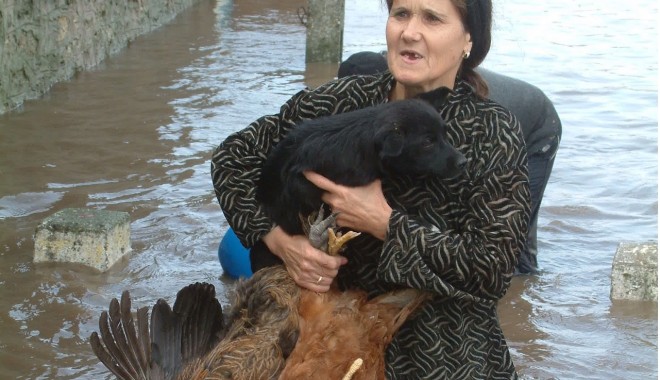DEZASTRUL CONTINUĂ! Peste 60 de gospodării, inundate în comuna Peștera - inundatii-1371219245.jpg