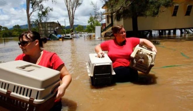 Inundații de proporții biblice în Slovenia. Salvatorii se declară șocați de amploarea fenomenelor extreme - inundatii-2-1691165426.jpg