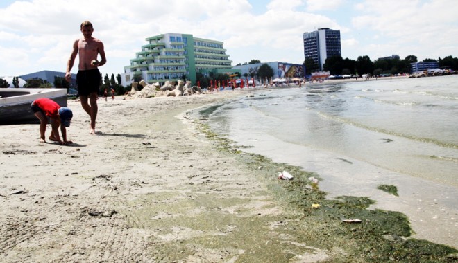 Invazie de alge pe litoral: 
