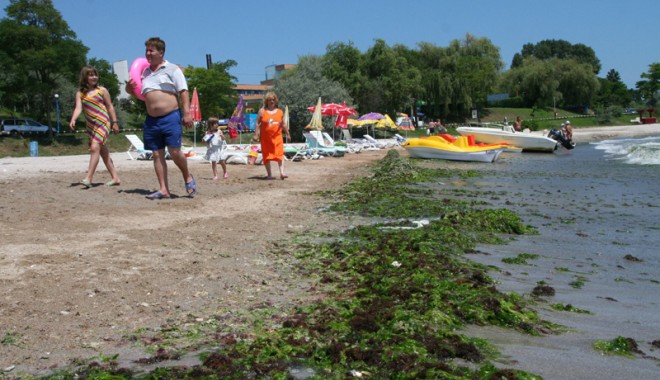 Invazie de alge pe litoral: 