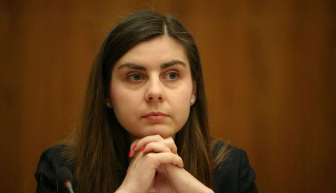 Taxa pe stâlp va fi aplicată în 2015, la valoarea fiscală netă - ioanapetrescu2465x390-1406904098.jpg