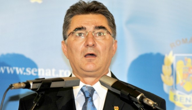 PNL se delimitează de declarațiile lui Ghișe și susține în continuare, fără rezervă, Guvernul Ponta - ioanghie-1370953895.jpg