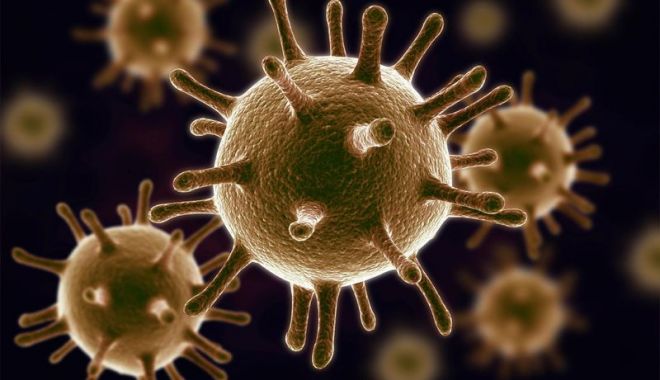 Un nou virus, asemănător pestei porcine africane, amenință România - istock000077973371medium-1535658785.jpg