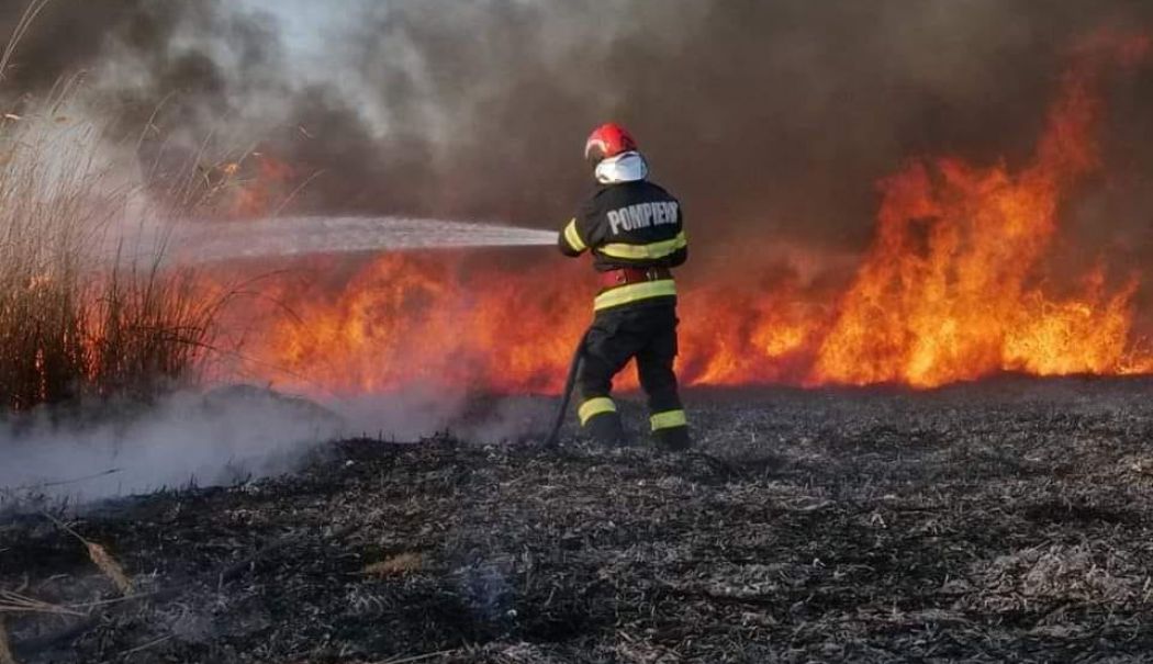ISU Constanța atrage atenția că este interzisă arderea miriștilor, a stufului s-au vegetației ierboase - isu-arderi-miristi-1715174429.jpg