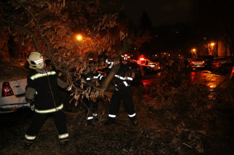 Codul galben a făcut ravagii. Panouri luate de vânt pe A2. Copaci căzuți și mașini avariate - isubucurestiilfov136735900-1550905194.jpg
