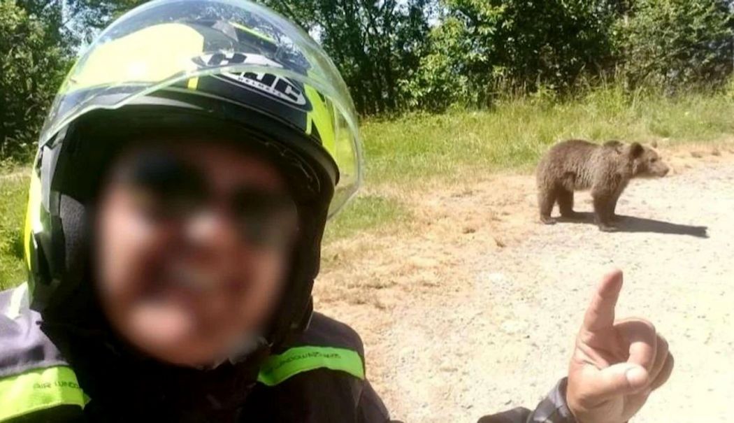 Greșeala fatală făcută de italianul mort pe Transfăgărășan. „Iată ursul! Ce frumos! Vine spre mine!” - italian-1751620907.jpg