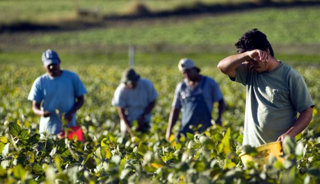 La ce riscuri sunt supuși lucrătorii din agricultură - itmlucratoriidinagricultura-1444924727.jpg