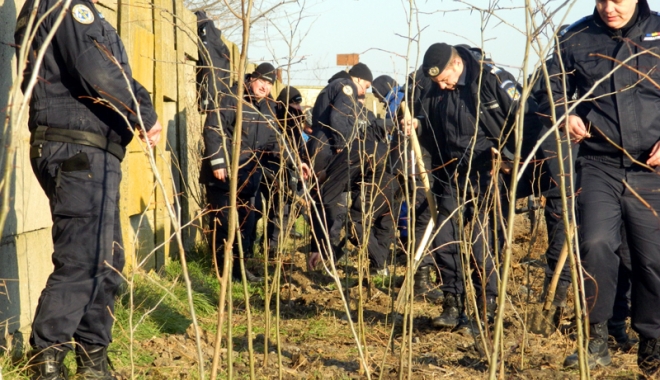Jandarmii constănțeni au plantat copaci în fața unității - jandarmi-1481216979.jpg