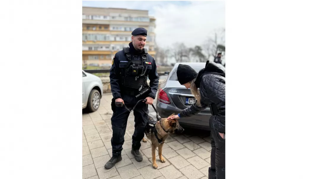 Peste 150 de misiuni ale jandarmilor constănțeni în prima parte a lunii martie. Amenzile au depășit 61.000 de lei - jandarmi-1773671489.webp